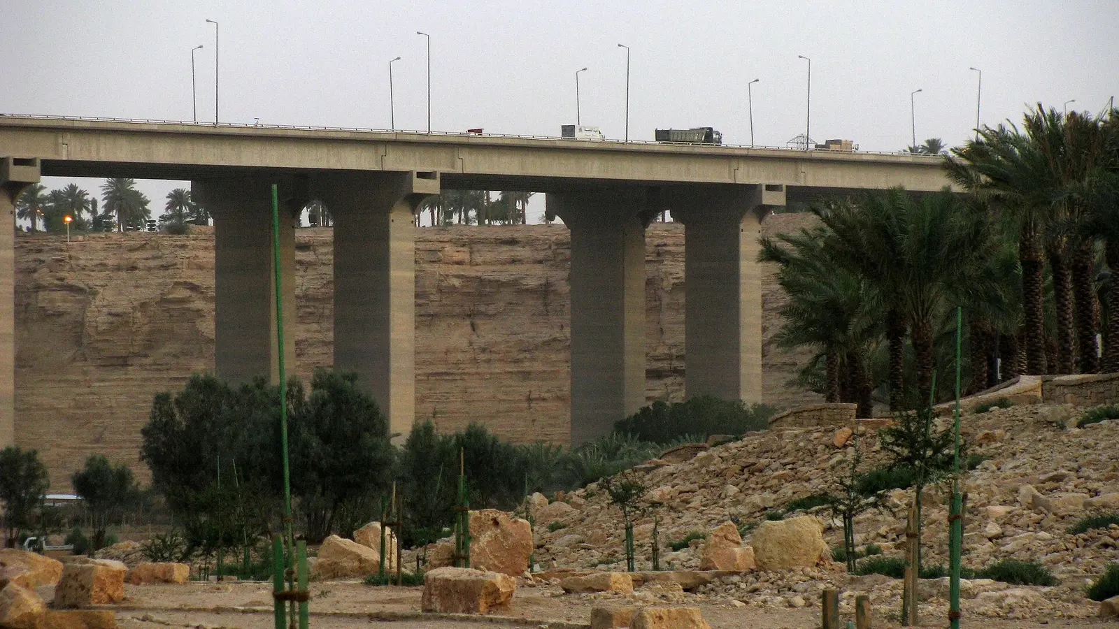جسر طريق مكة السريع يعبر وادي حنيفة بأعمدة خرسانية ومركبات متحركة أعلاه ونخيل حوله