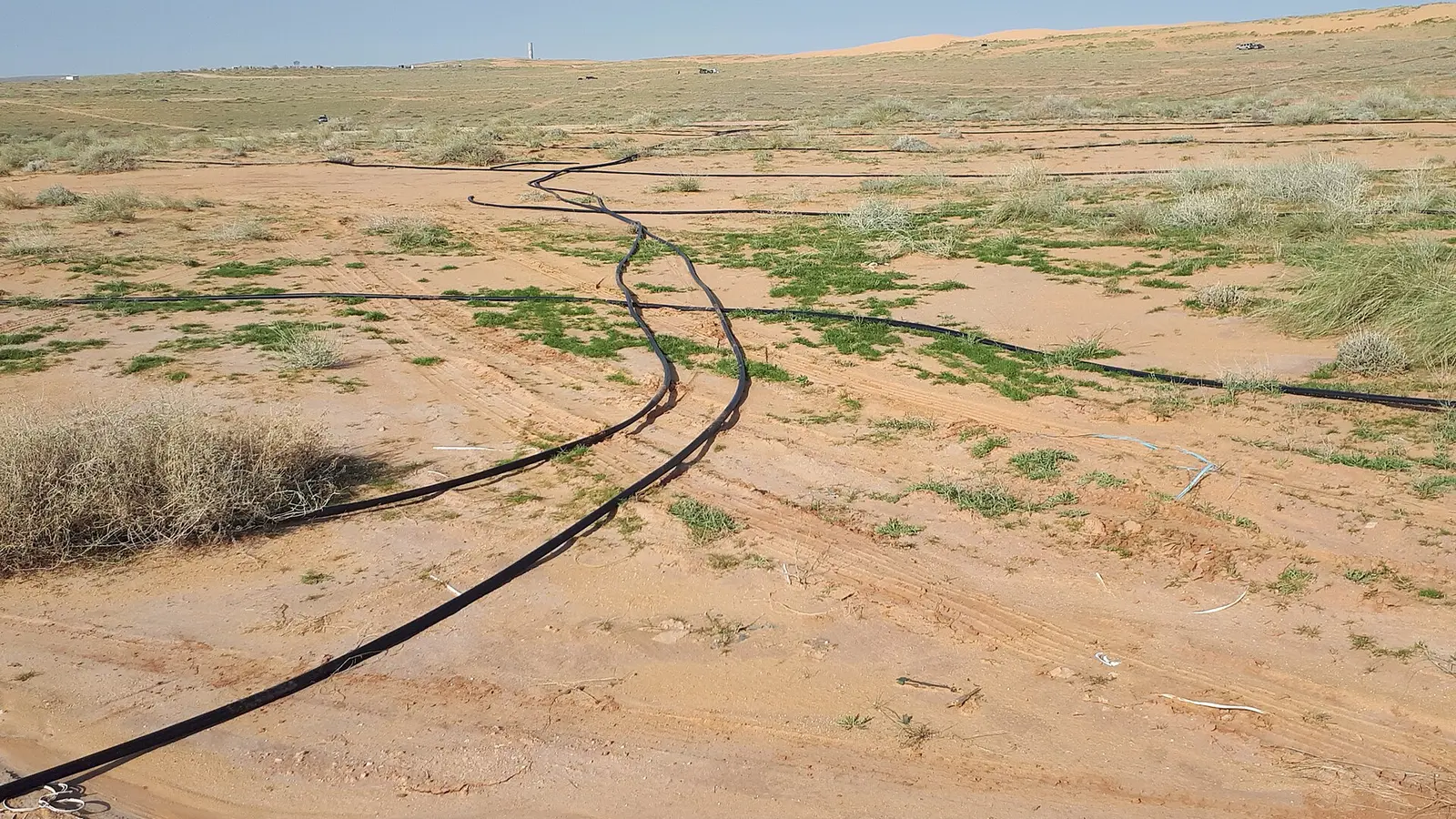 مشروع ري تابع للمركز الوطني لمكافحة التصحر قرب بريدة في منطقة القصيم
