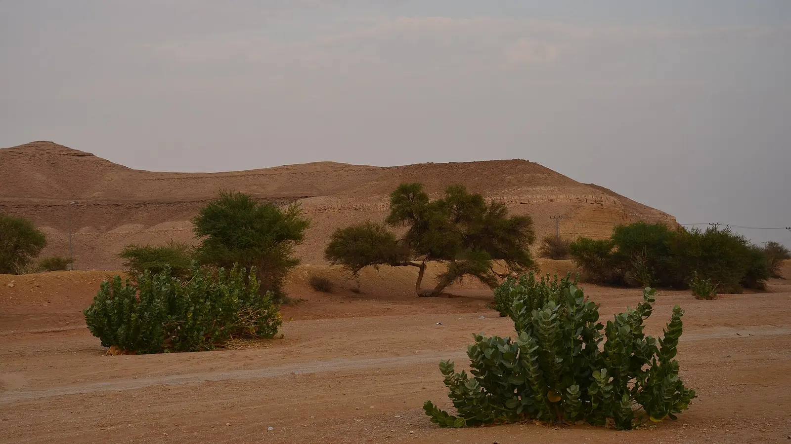 منظر طبيعي صحراوي في محيط بلدة العيينة التاريخية بمنطقة الرياض
