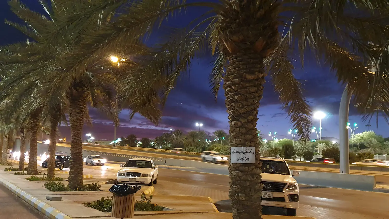 طريق الملك فهد في مدينة بريدة بمنطقة القصيم مساءً، بنخيل وإنارة على جانبي الطريق